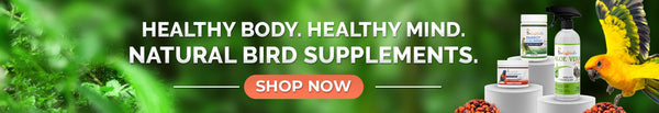 unruffledrx bird supplements