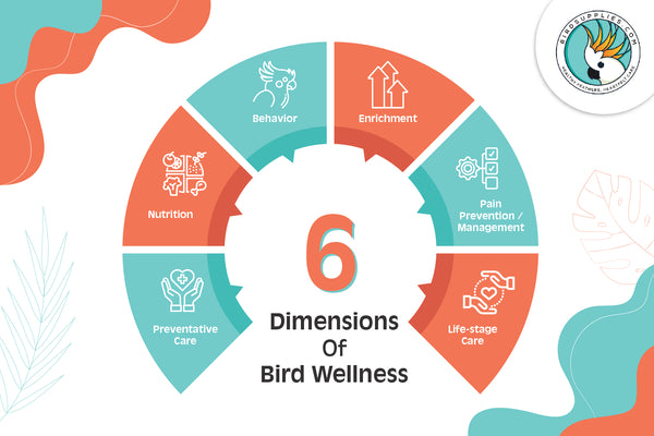 6 dimensions of avian wellness