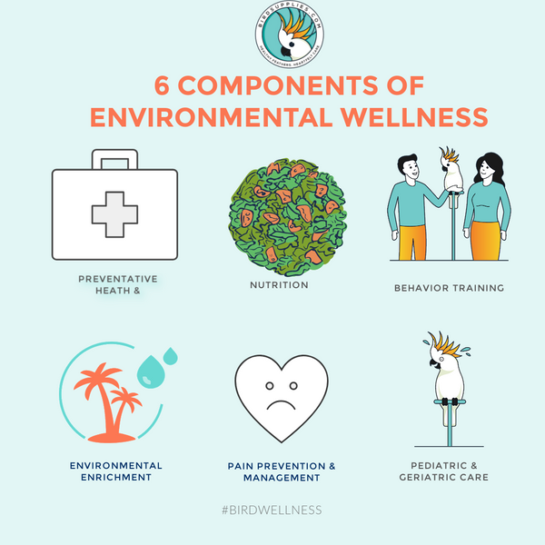 Environmental Wellness