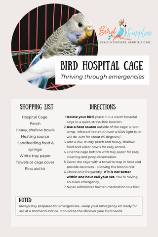 Bird hospital cage